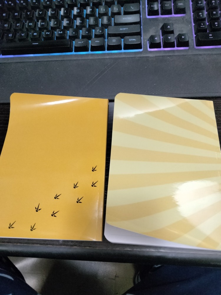 2 small Liberty Mutual Limu Emu & Doug note pads