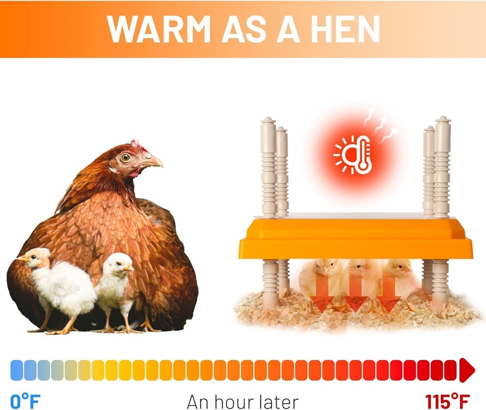 Efficient Full-Size Chick Brooder Heater - 10" x 10" with Safety Features