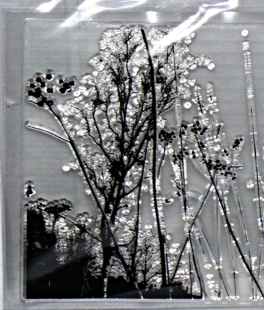 Branches Stems Image Clear Stamp Simple Design Pattern All New HTF Free Shipping