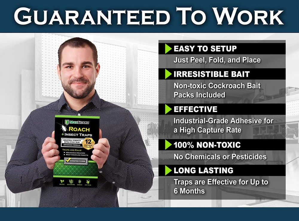 Roach + Spider Traps (12 per Box) Non-Toxic Extra Sticky Box Traps | Kill German