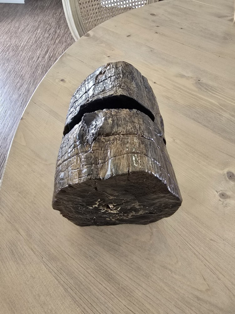 Petrified Wood Book Ends Glossed