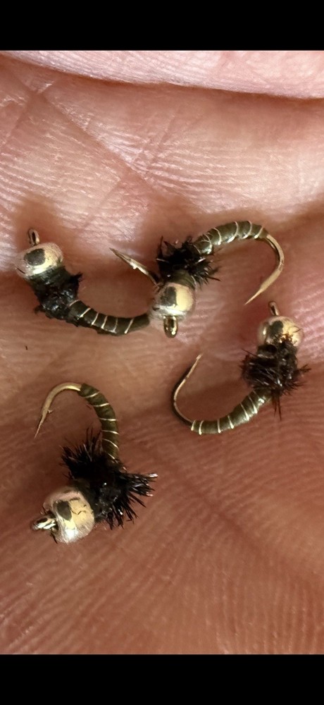 San Juan River Start Up