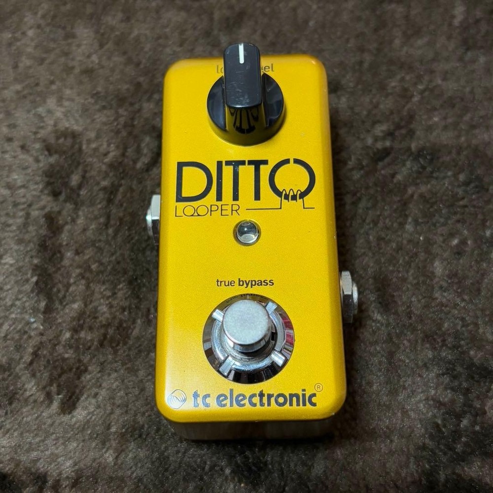 TC ELECTRONIC Ditto Looper Effects Pedal