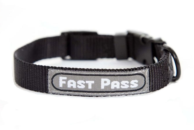 TSA Fast Pass COLLAR Leash Metal free for Airline Traveling Pets