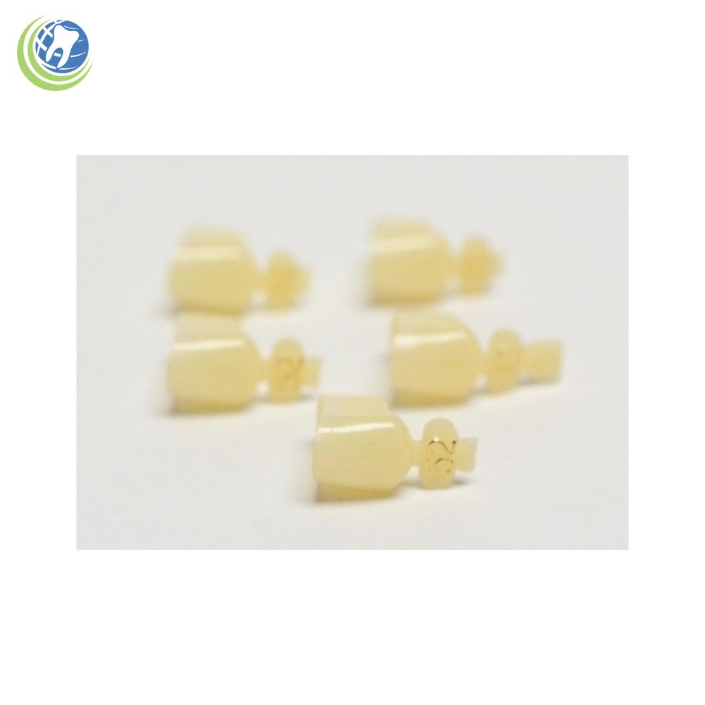 DENTAL POLYCARBONATE TEMPORARY CROWNS #52 SECOND (2ND) BICUSPIDS LARGE 5/PACK