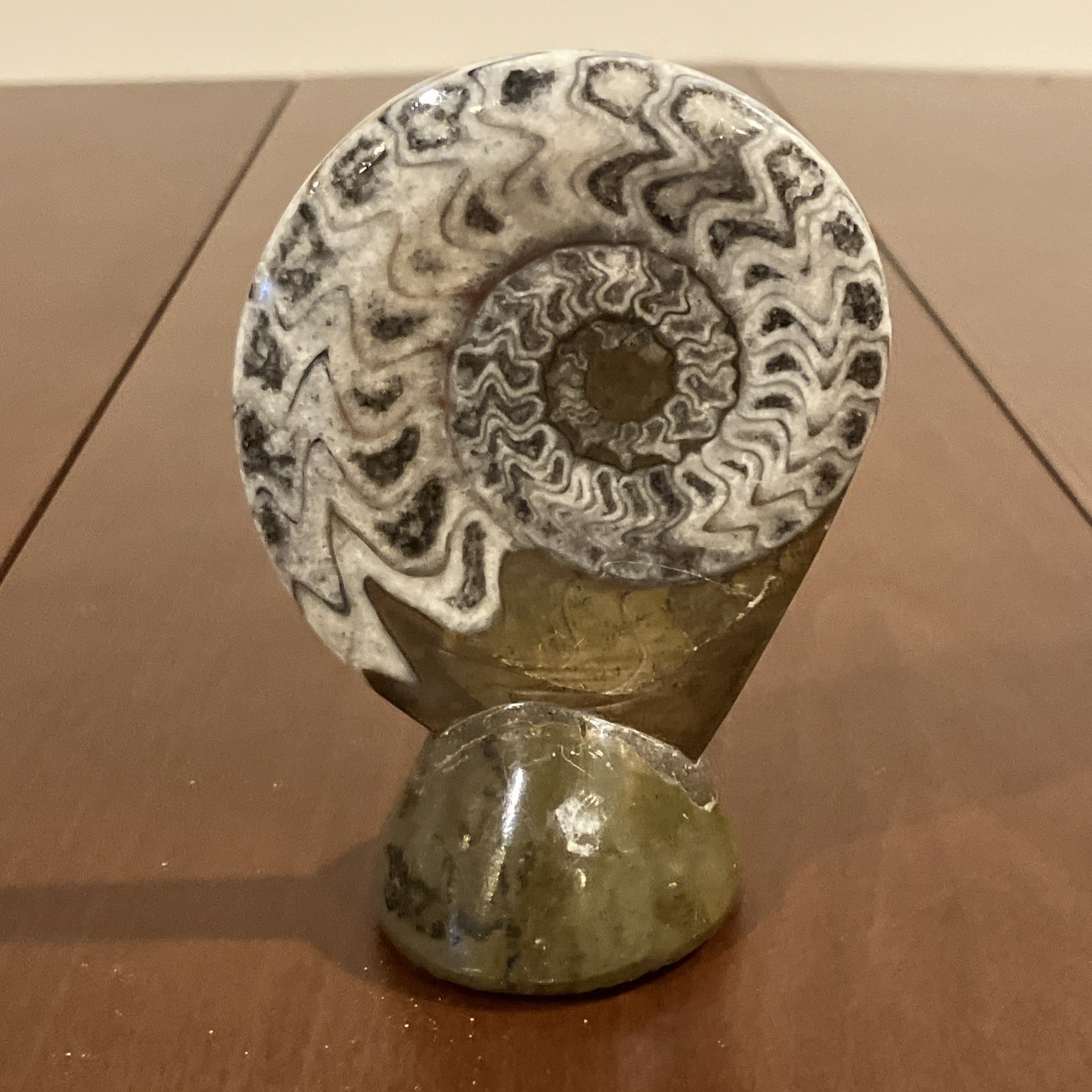 Polished Ammonite Fossil Cross Section Display Specimen w/ Stand