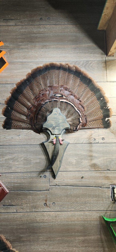 Turkey Fan Plaque Arrowhead SG