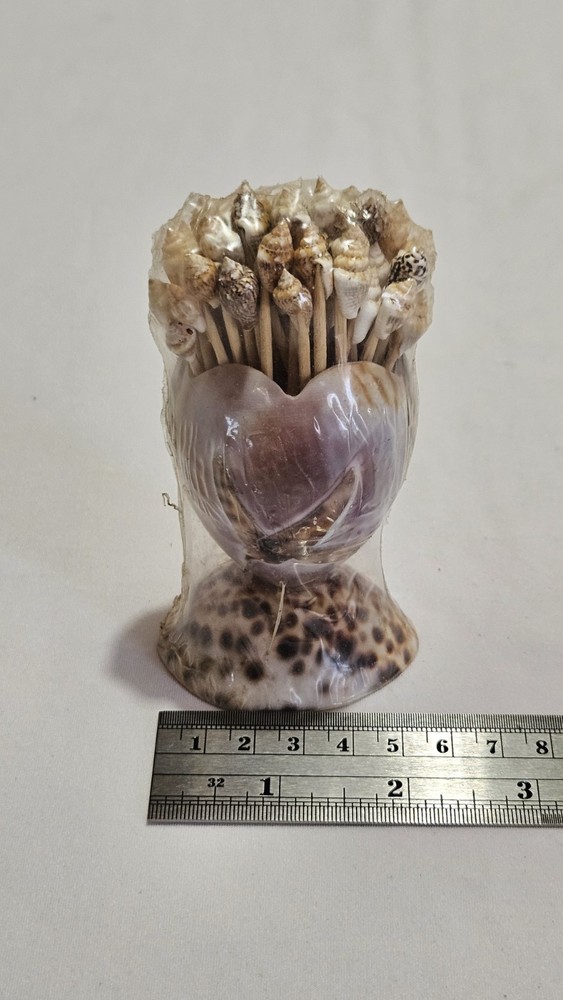 Seashell Toothpick Holder • Shell Cocktail Picks • Coastal Decor