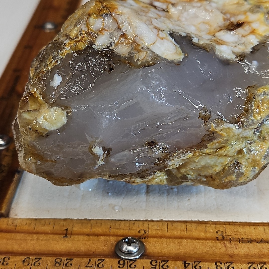 Flower Agate, Madagascar, beautiful color, flower like dendrites 1LB 15.5oz.