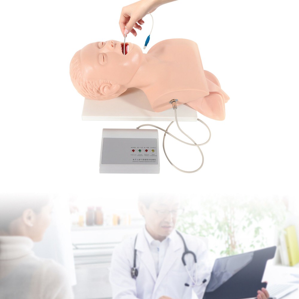 Intubation Manikin Study Teaching Simulator Airway Management Trainer Tool Model