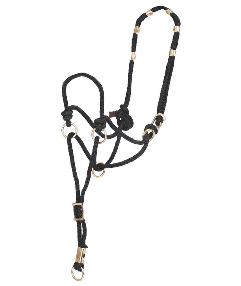 Training Halter