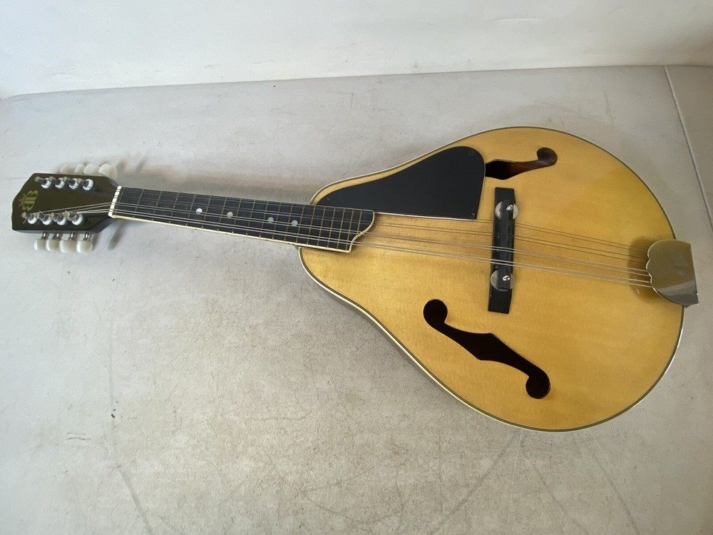 Mandolin BB B415 Instrument case & Accessories 41S9