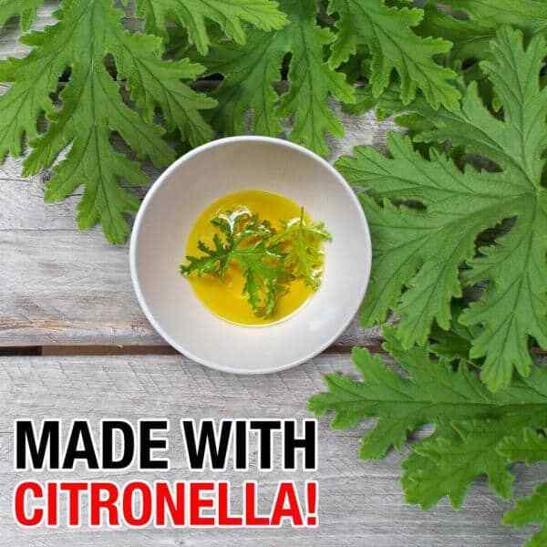 32 Oz. Fruit Fly and Drain Fly Killer