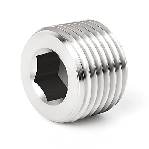 10PCS 304 Stainless Steel Socket Pipe Plug 1/8" MNPT-10Pcs Internal Hex Thread