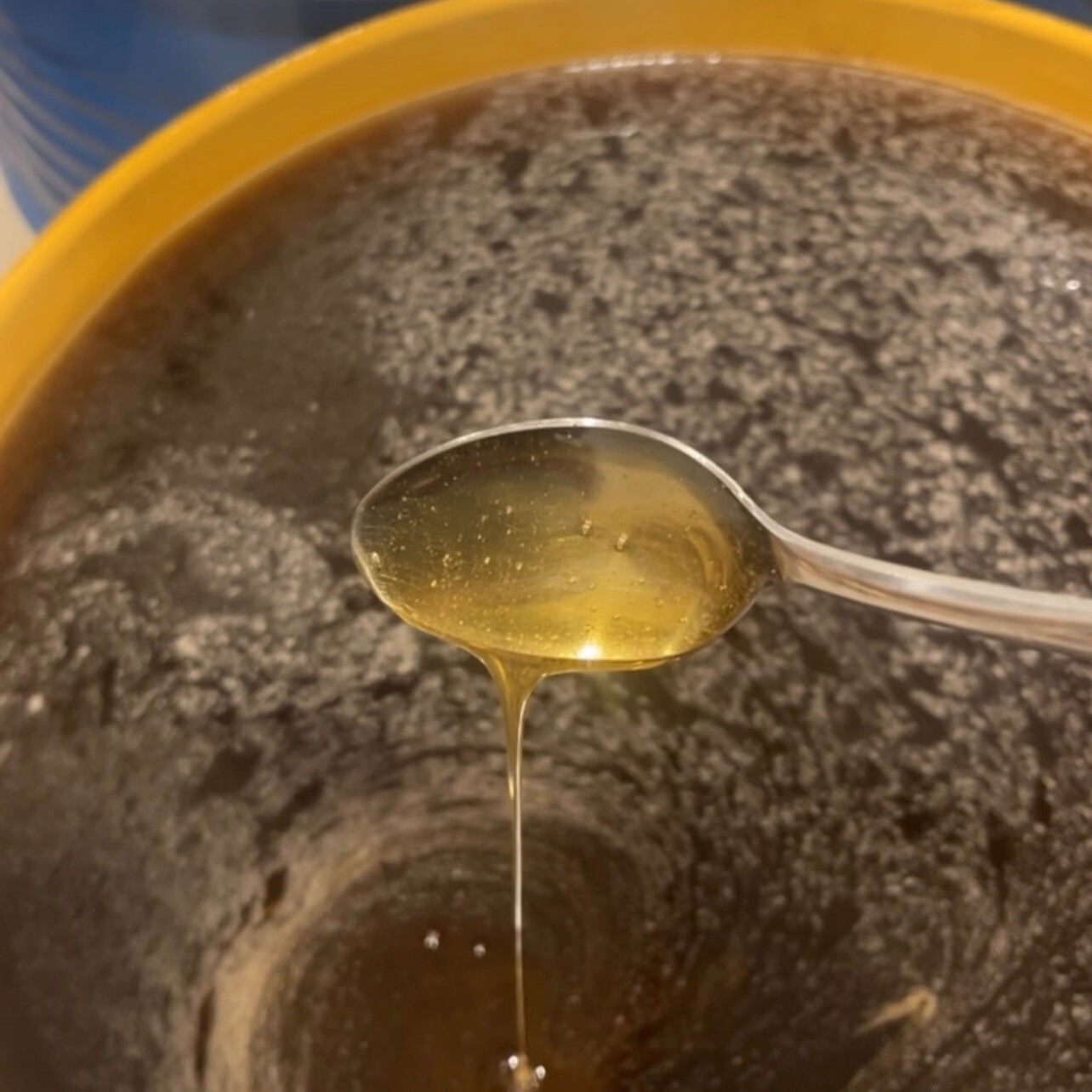 Bulk Raw & Unfiltered Wildflower Honey - 5 GALLONS of HONEY (60 lbs) BULK HONEY