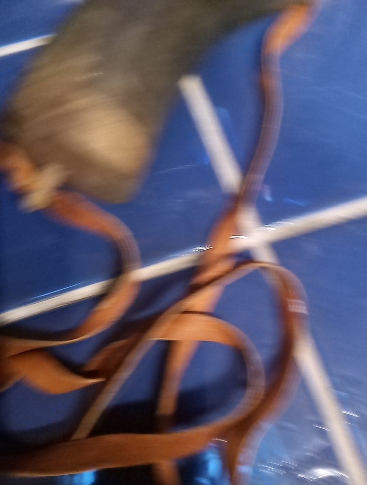 Muzzle-Loaders Authentic Black Powder Horn w/ Leather Strap