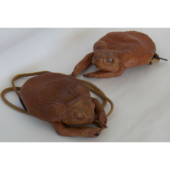 Cane Toad Shoulder Purse