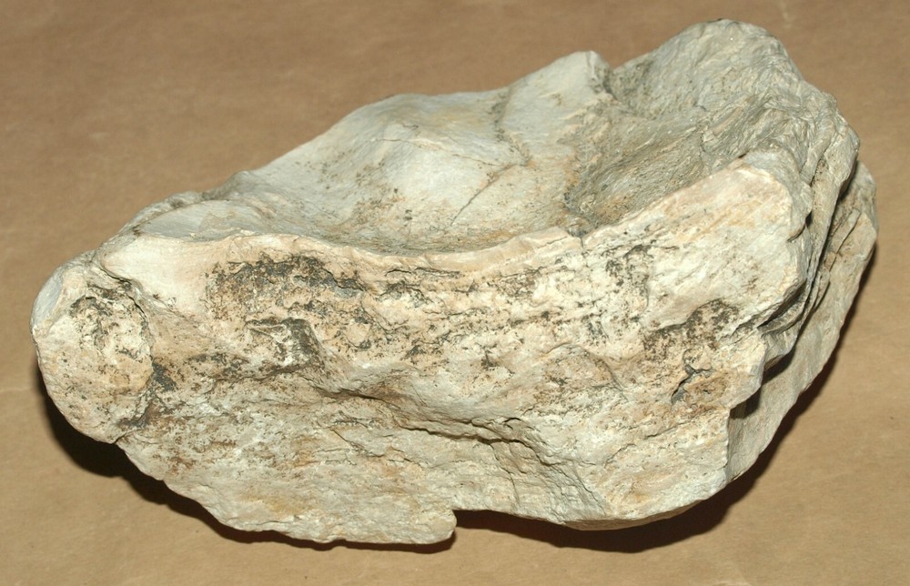Silurian STROMATOLITE from Estonia
