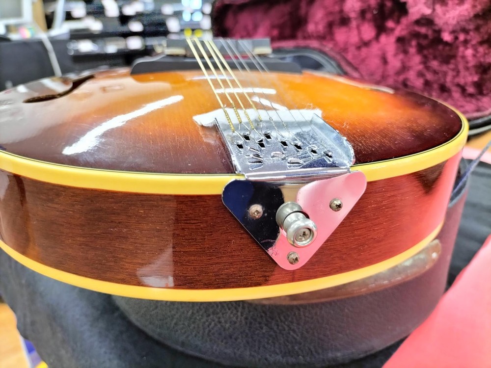 BLUERIDGE BM300F/TS Mandolin