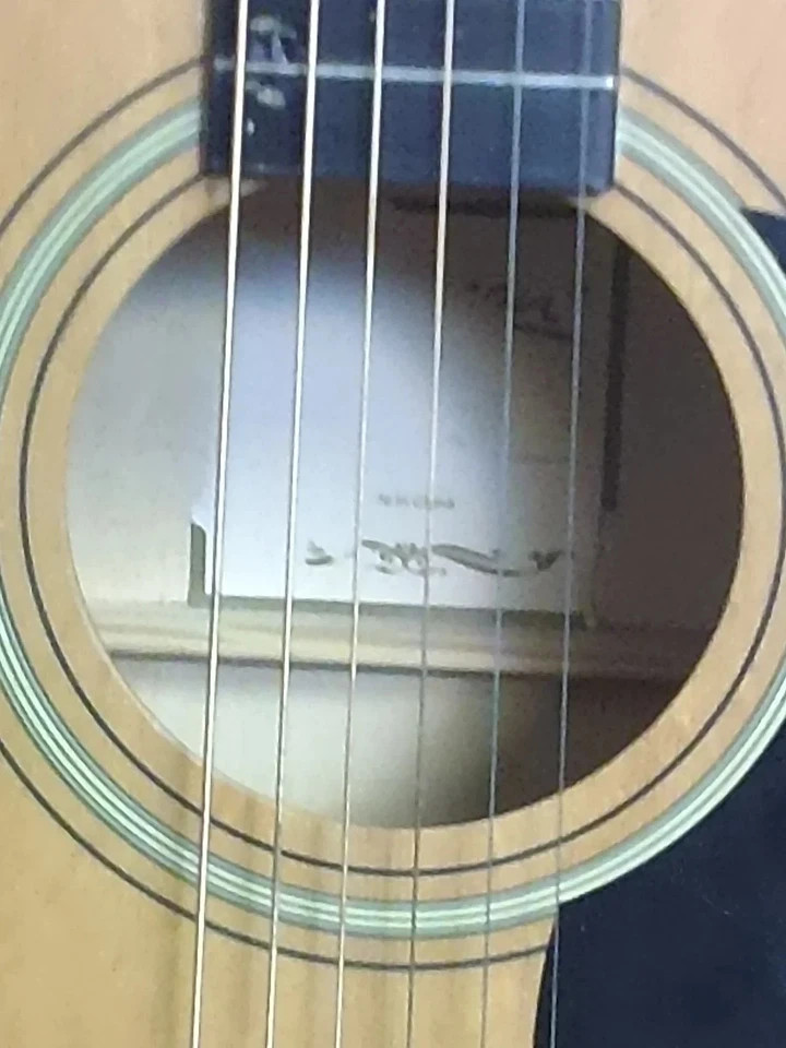 Johnson Dreadnought - Natural