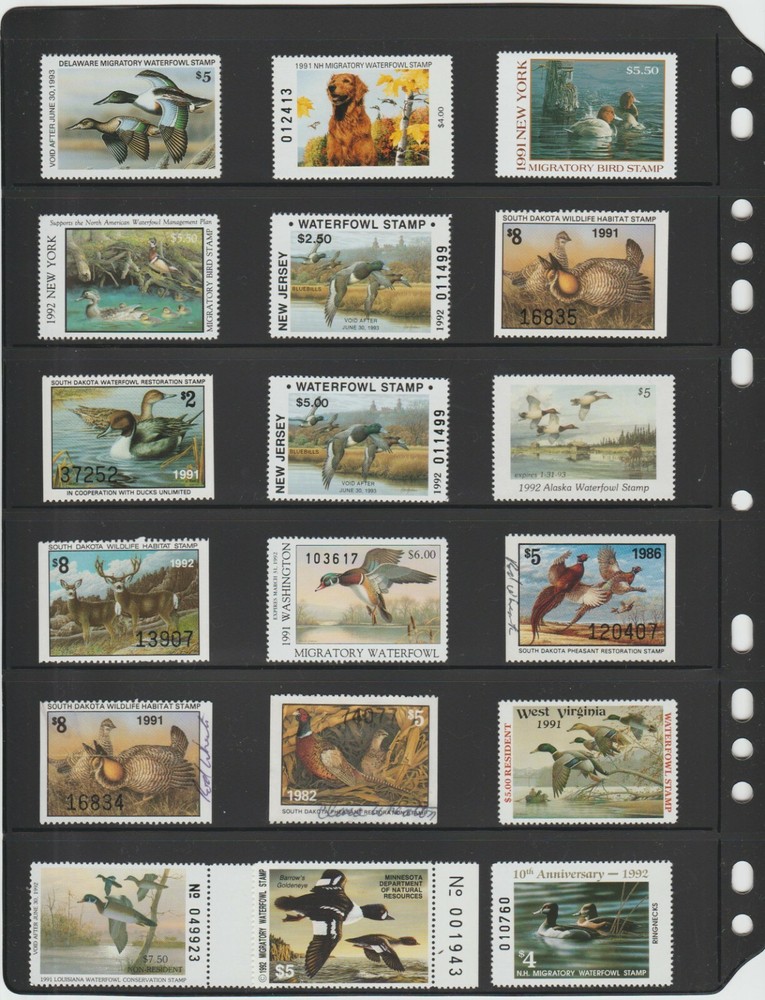 ANCHOR 20 Stock Pages 6S (6-Rows) Sheets - Black sheets, FREE Priority SHIPPING