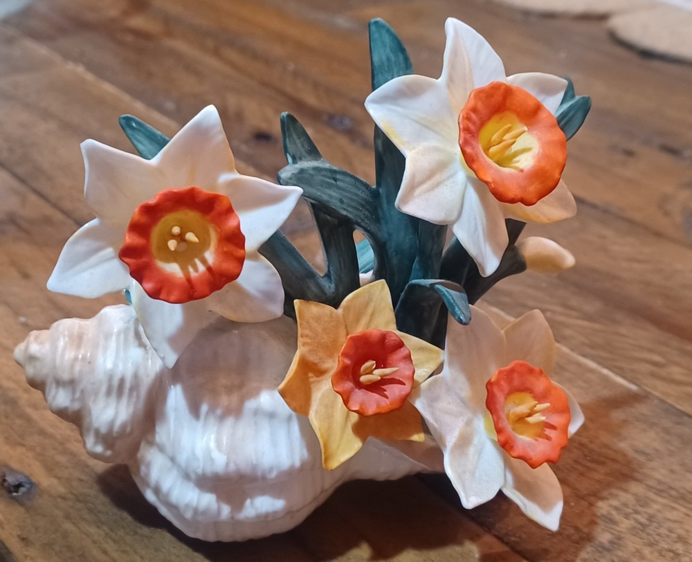 Daffodils In A Sea Shell Beautiful