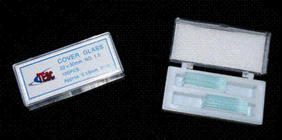 22x30 Borosilicate Microscope Cover Slip 240 pcs