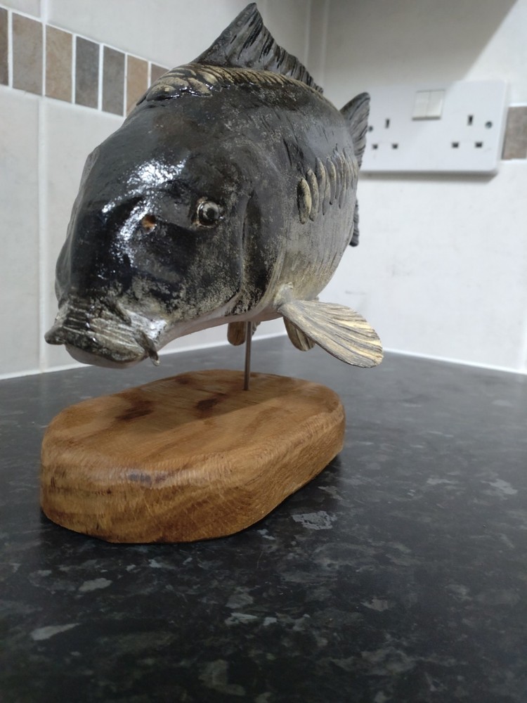 Carp Fishing, linear Carp statue