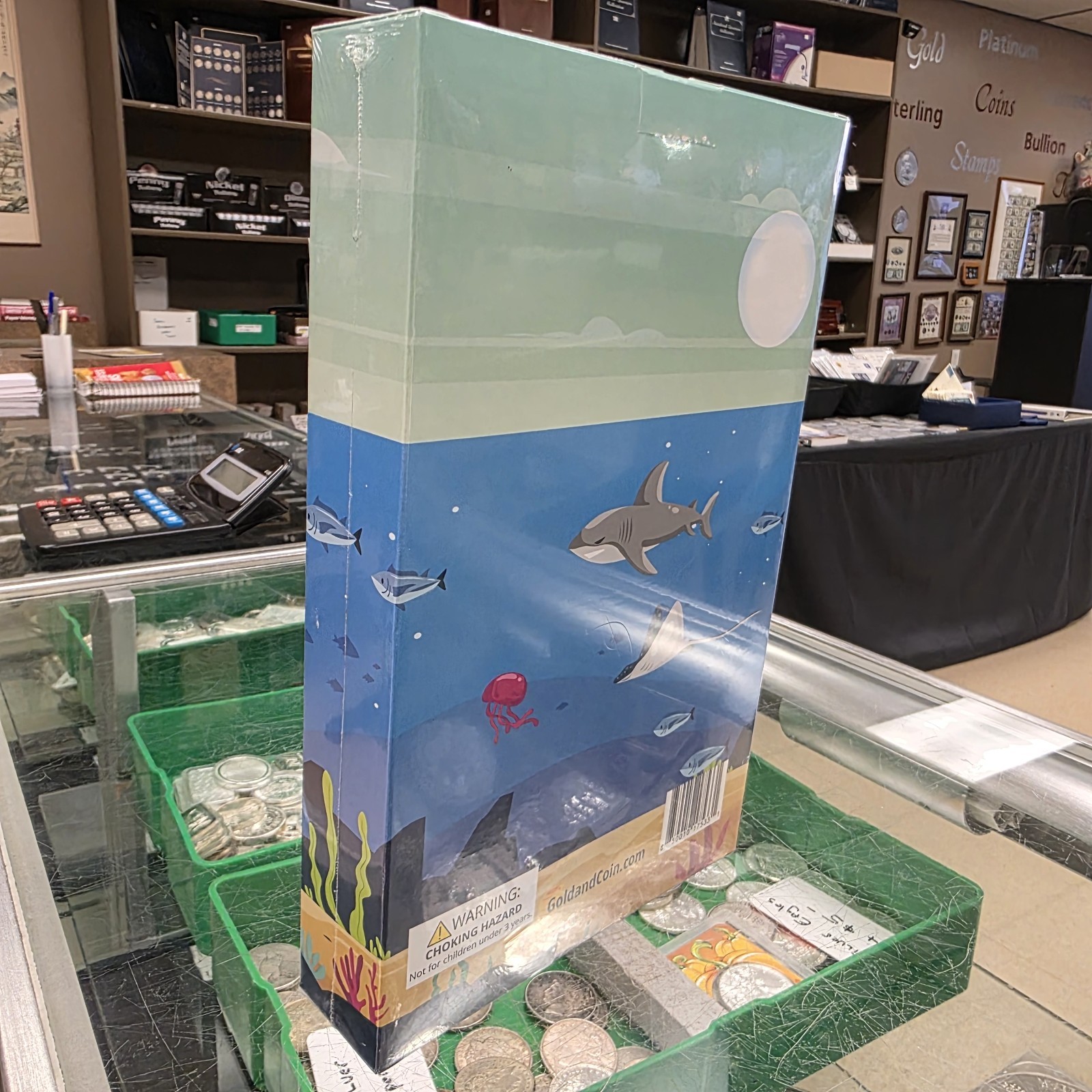 Pirate Ship Coin MYSTERY Box