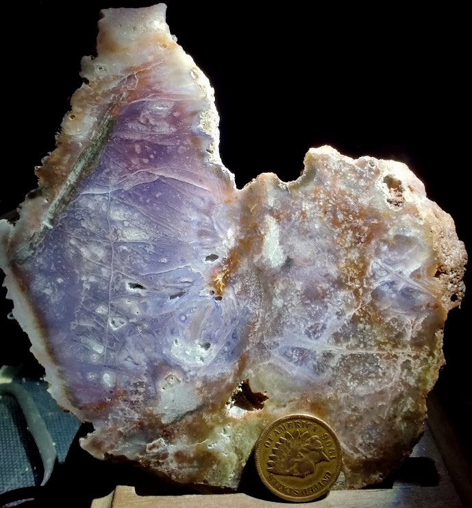 Epic 6" Slab of Rare Burro Creek Agate, Intricate Details & Great Purple Tones