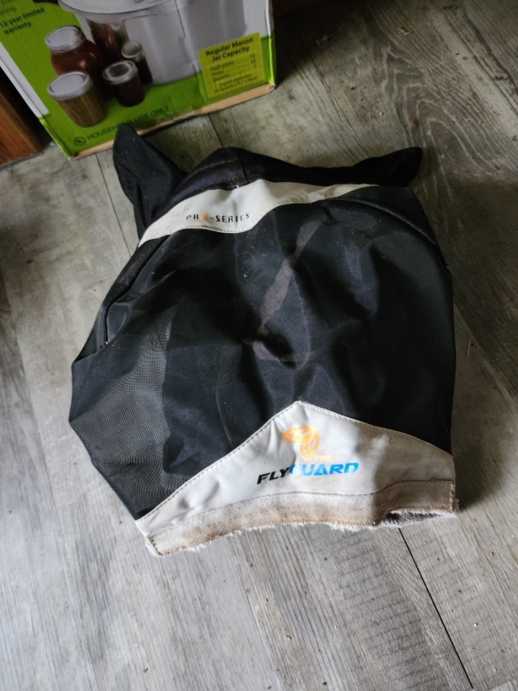 Horse Fly Mask with Ears and Forelock Pull-Through Design