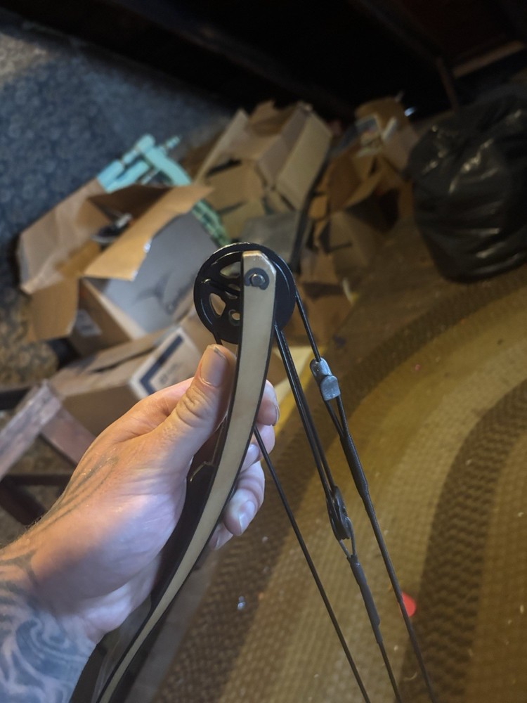 Bear Compound Bow with Case