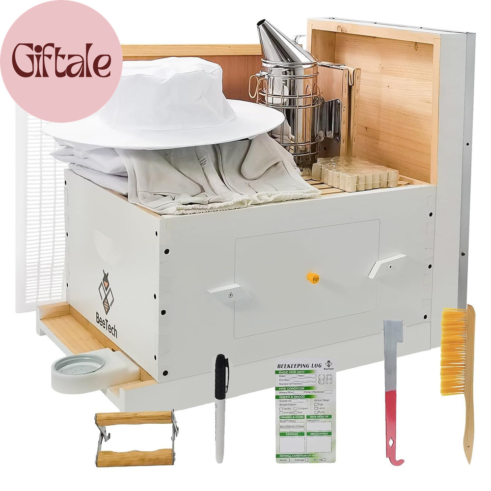 Newest Windows 10 Frame Beehive Starter Kit Hand Painted Includes Beekeeping Sup