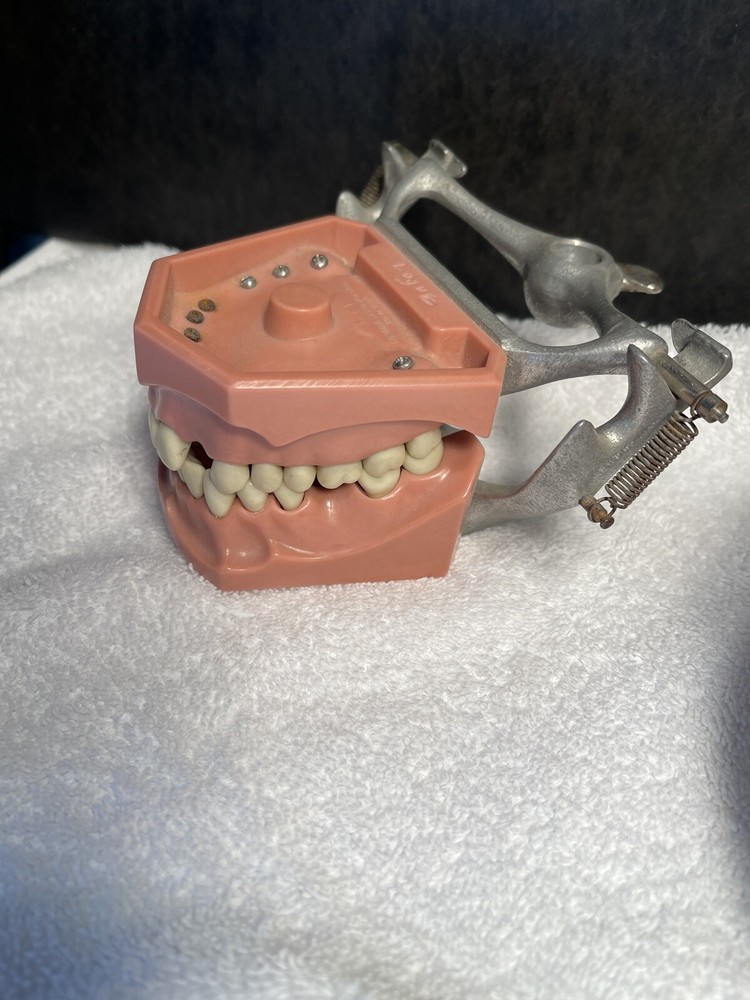 Dental Vintage Periodontal Study Models