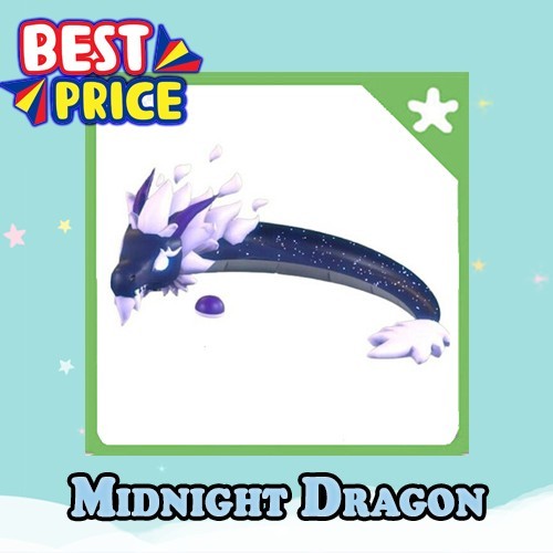 Midnight Dragon - Adopt right now