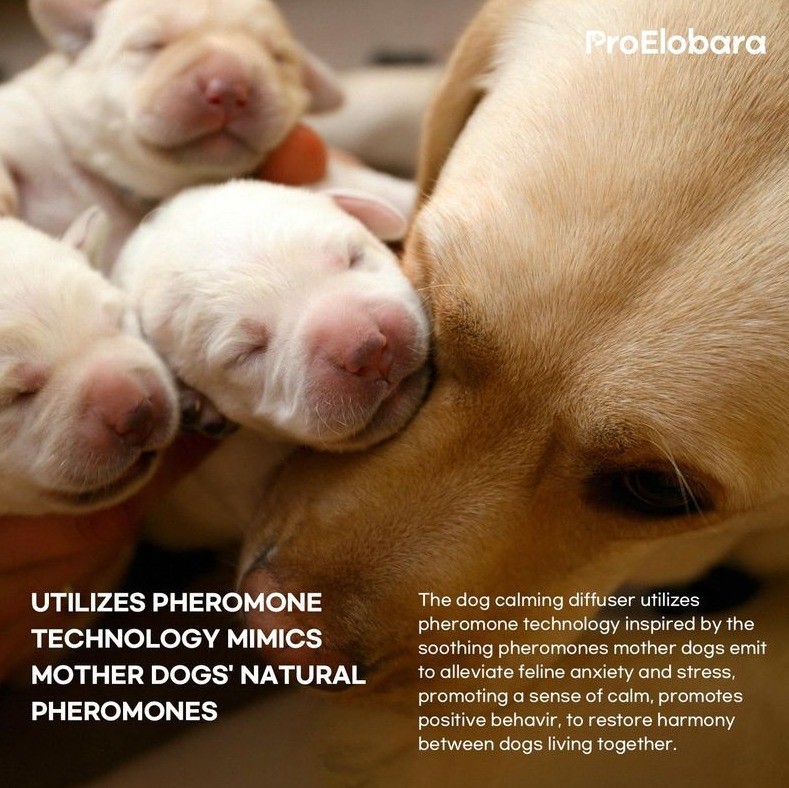 Dog Calming Pheromone Diffuser Refills 3 Pack Anxiety Stress Relief