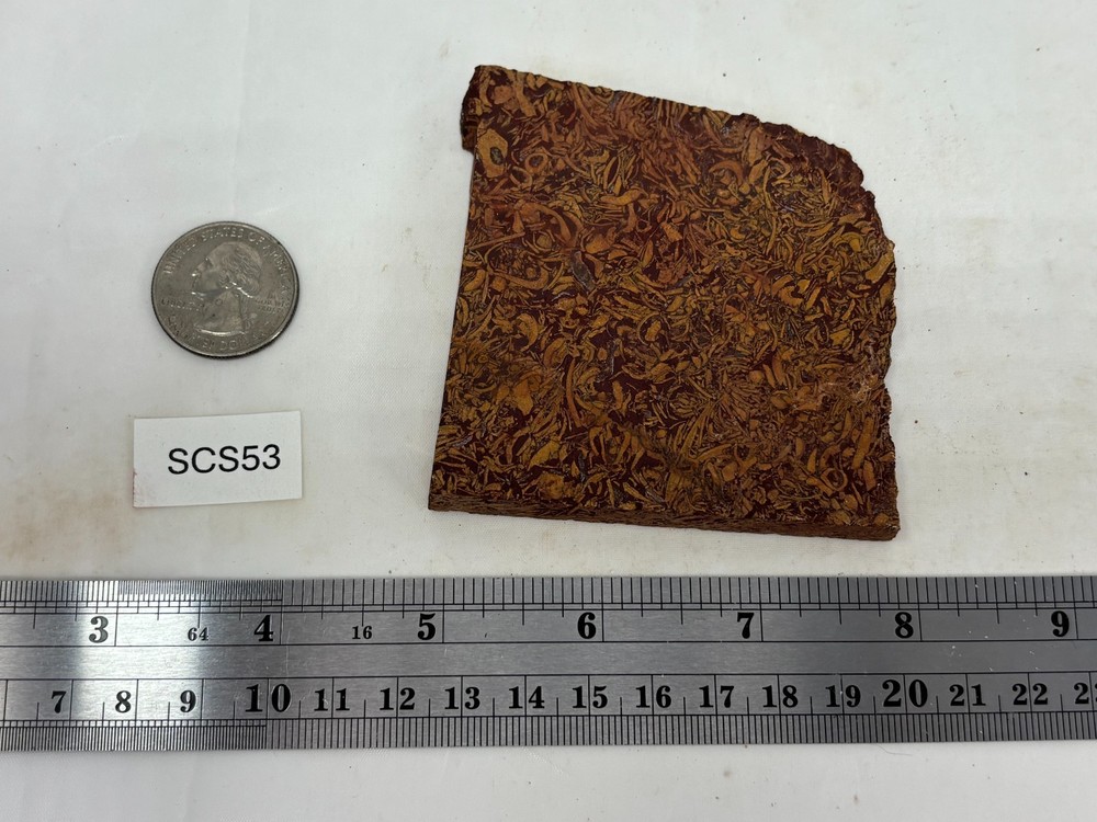 Script Stone Jasper Slab Cabbing Lapidary Collecting Combo Ship Avail