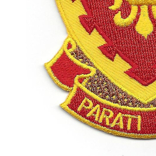 117th Field Artillery Regiment Patch