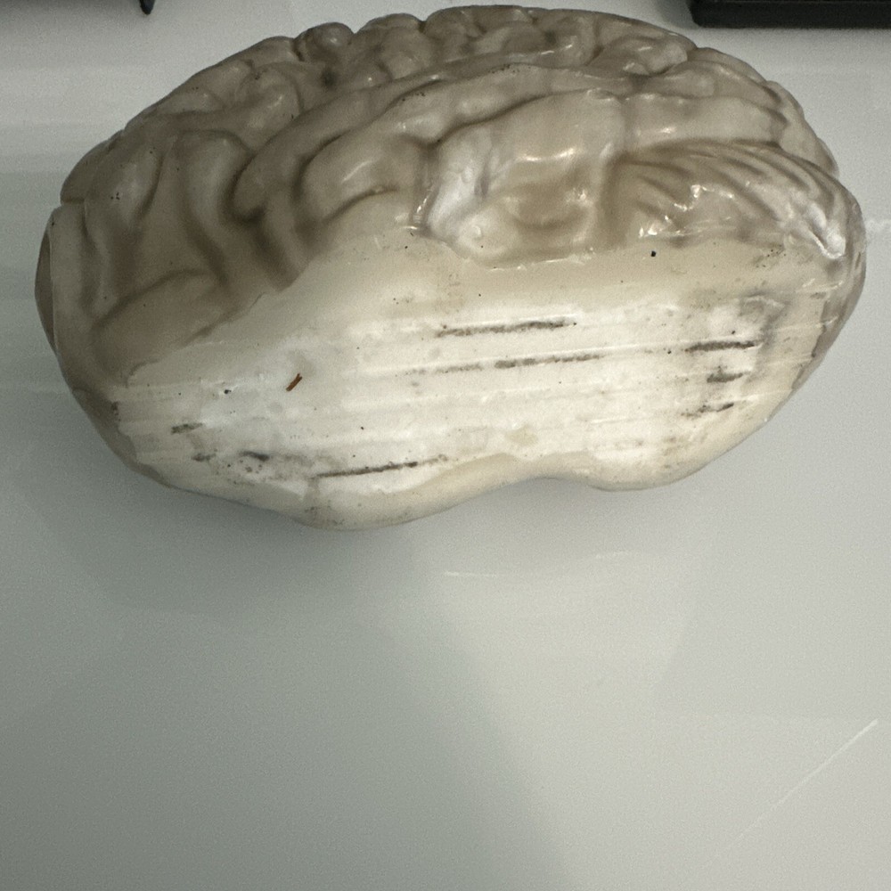 Melting Brain Novelty Candle