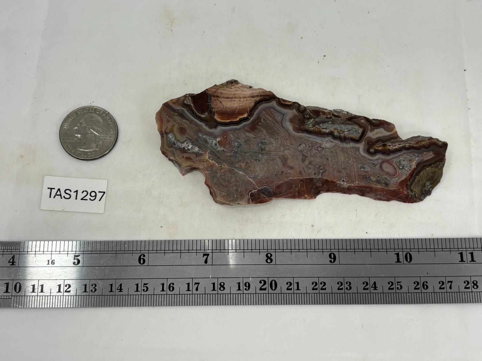 Turkish Stick Agate slab Cabbing Lapidary Collecting Combo Ship avail