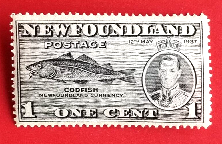 Canada Newfoundland #233 Long Coronation Issue - Codfish MH