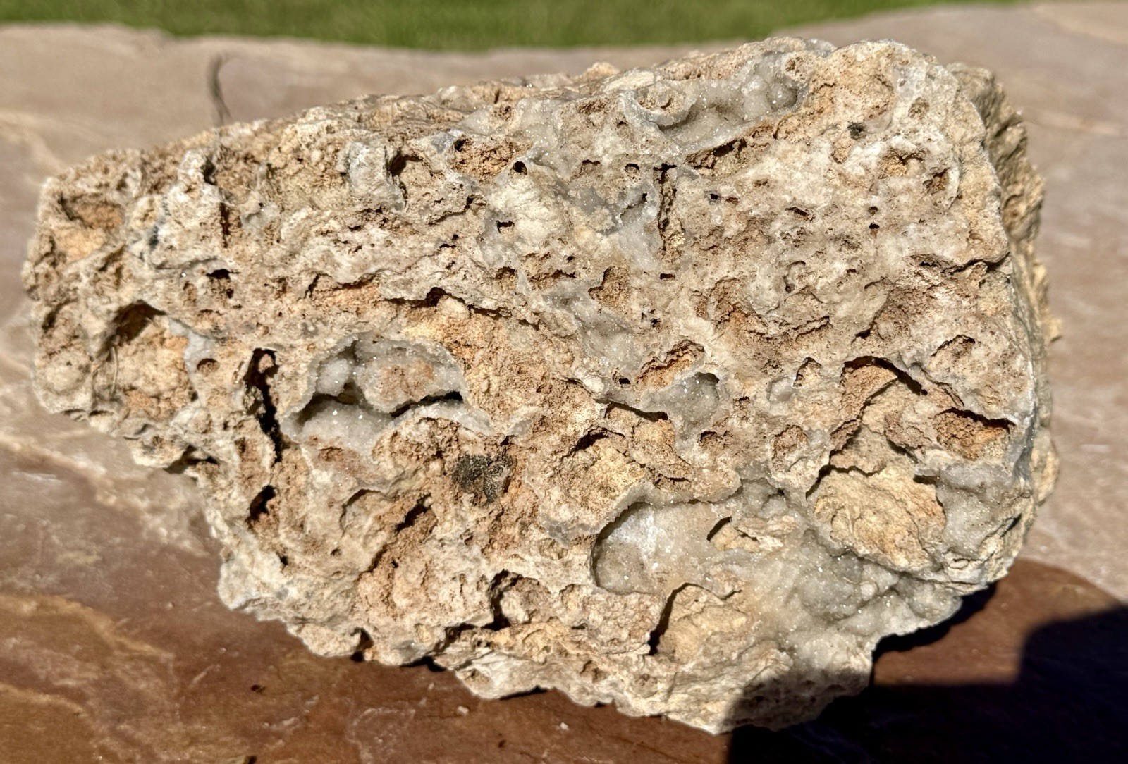 GORGEOUS* 7 Lb Crystallized Fossil Coral Reef Rock~Brilliant Druzy Sparkle