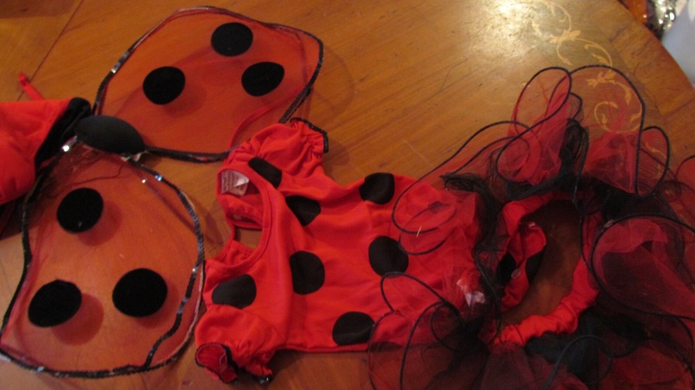 Lady Bug Costume Child Size 6 Months