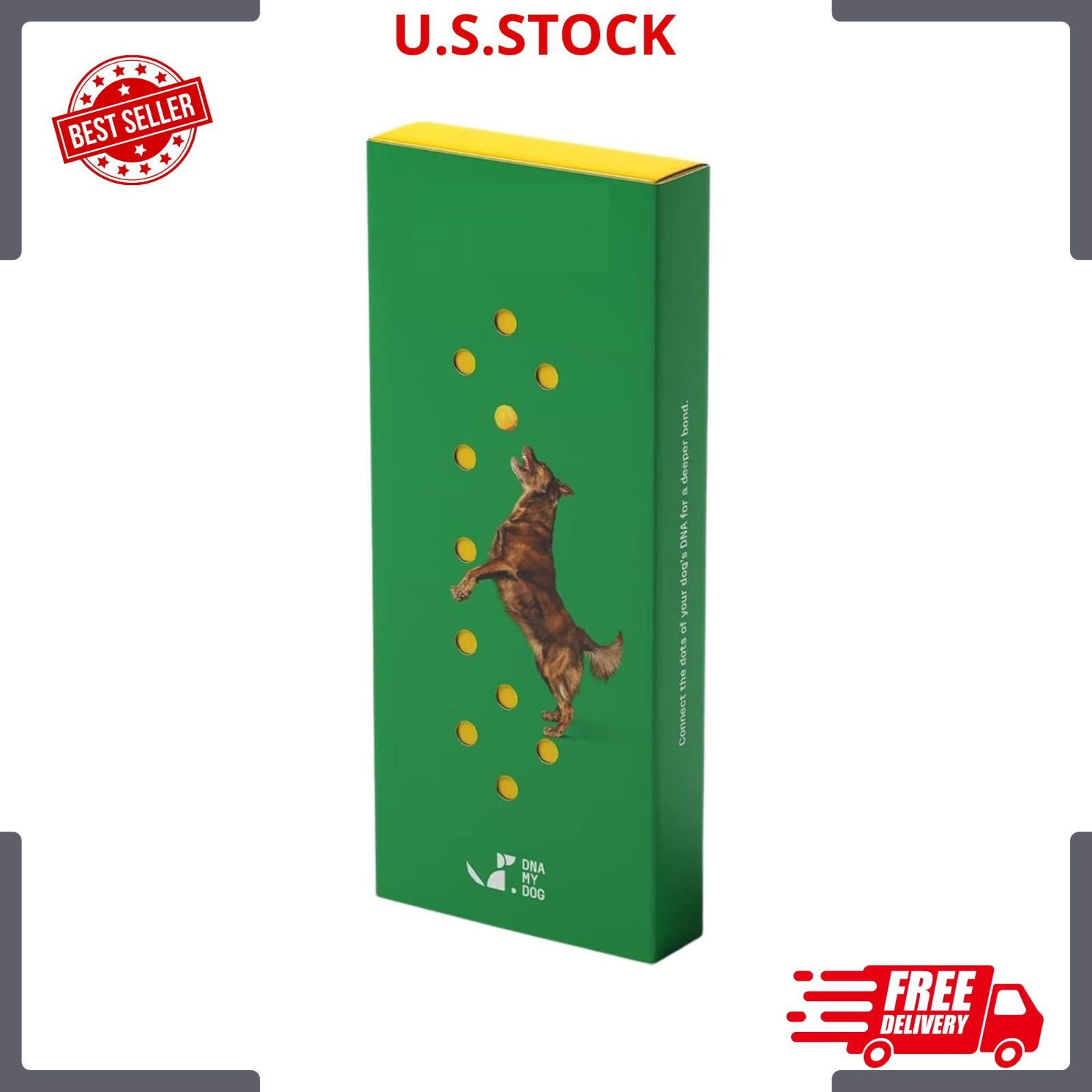 Dog Breed DNA Test Kit – 350+ Breeds, 99% Accuracy, Cheek Swab, 2-Week Results