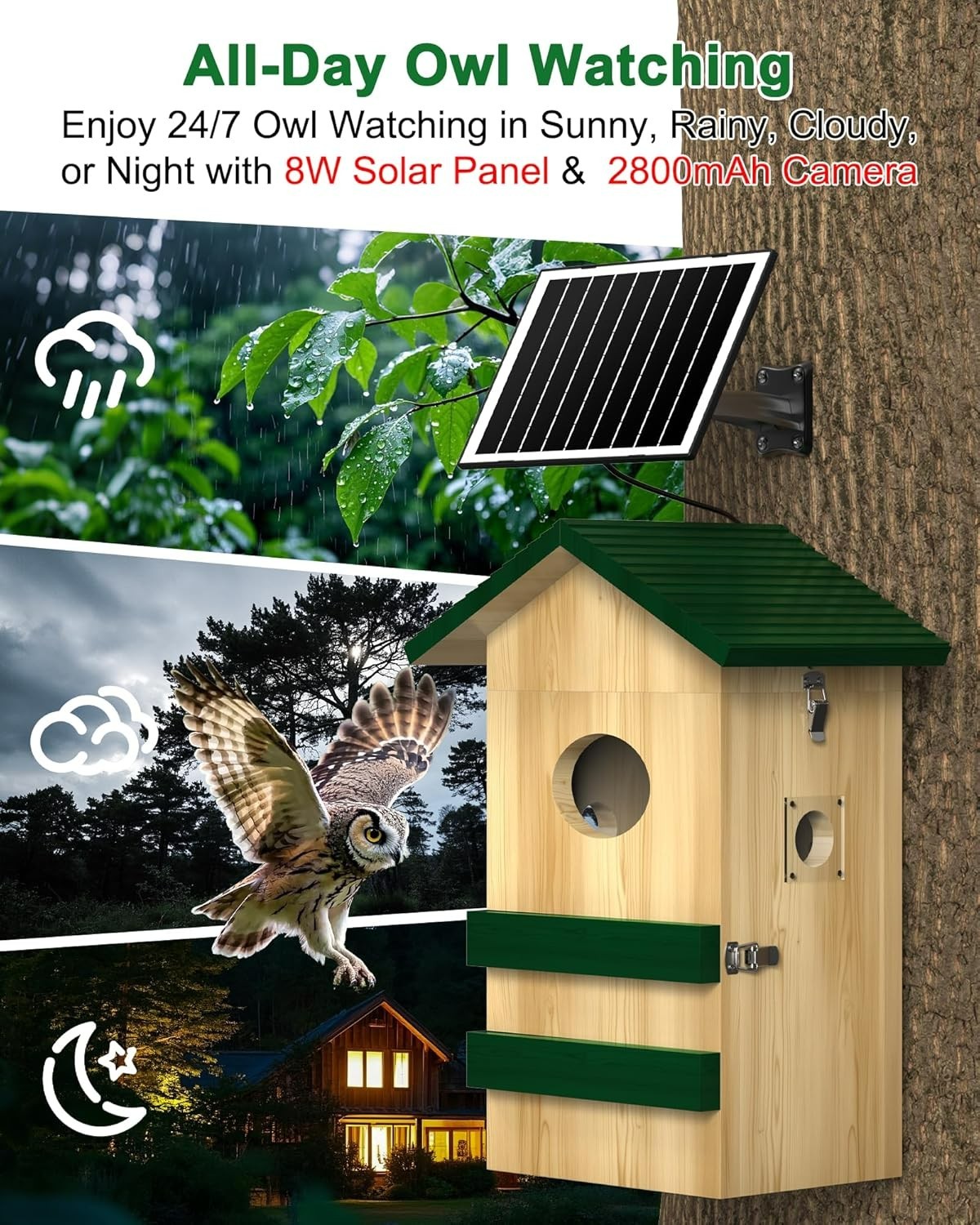 2K Owl Nesting Box Pine Wood 4G LTE Camera, Solar, Night Vision