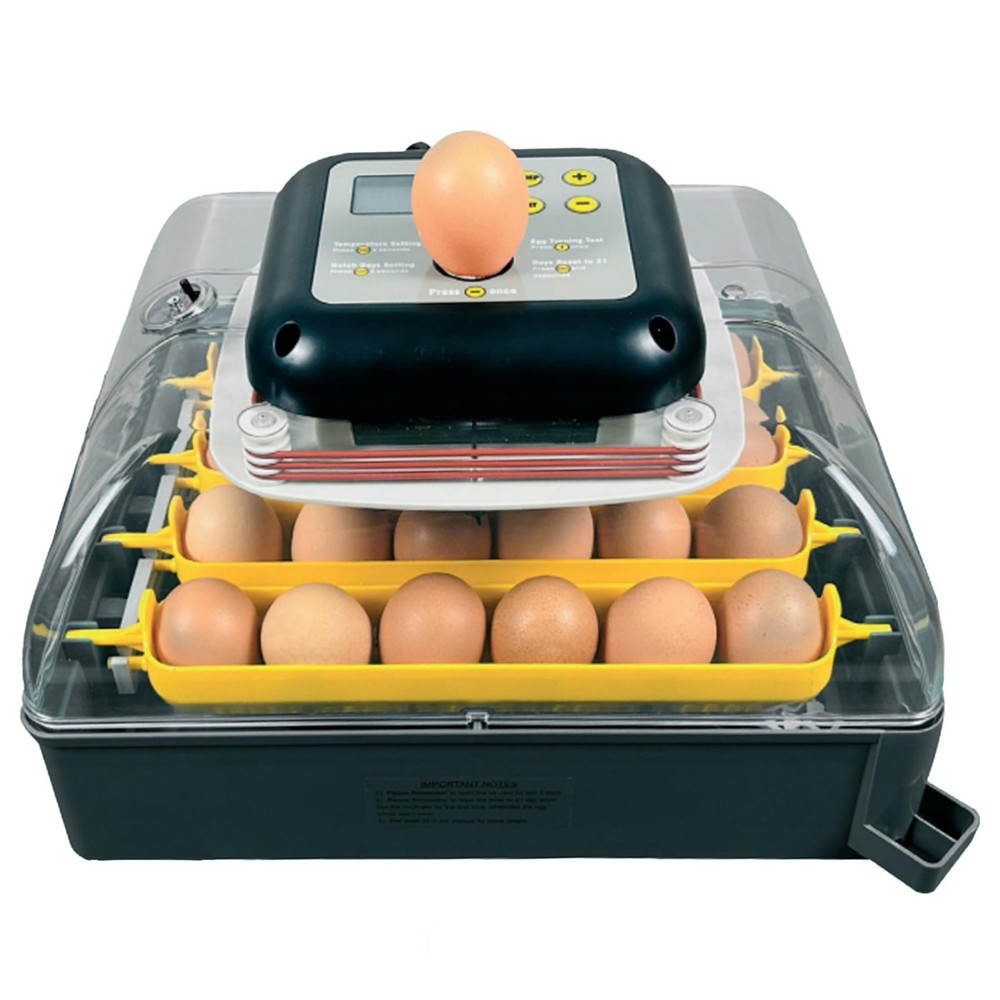 Hatching Time Pro24 Automatic Egg Incubator for Hatching Eggs – Digital Ch