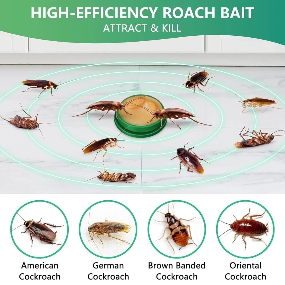 Powerful Roach Repellent, Domestic Dormitory Kitchen Cockroach Bait Roach Killer
