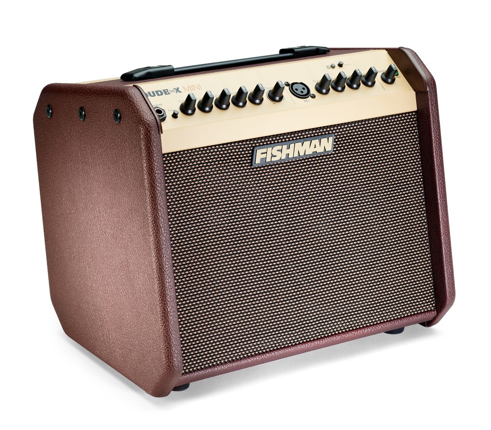 Fishman Loudbox Mini 60-Watt Bluetooth Acoustic Amplifier