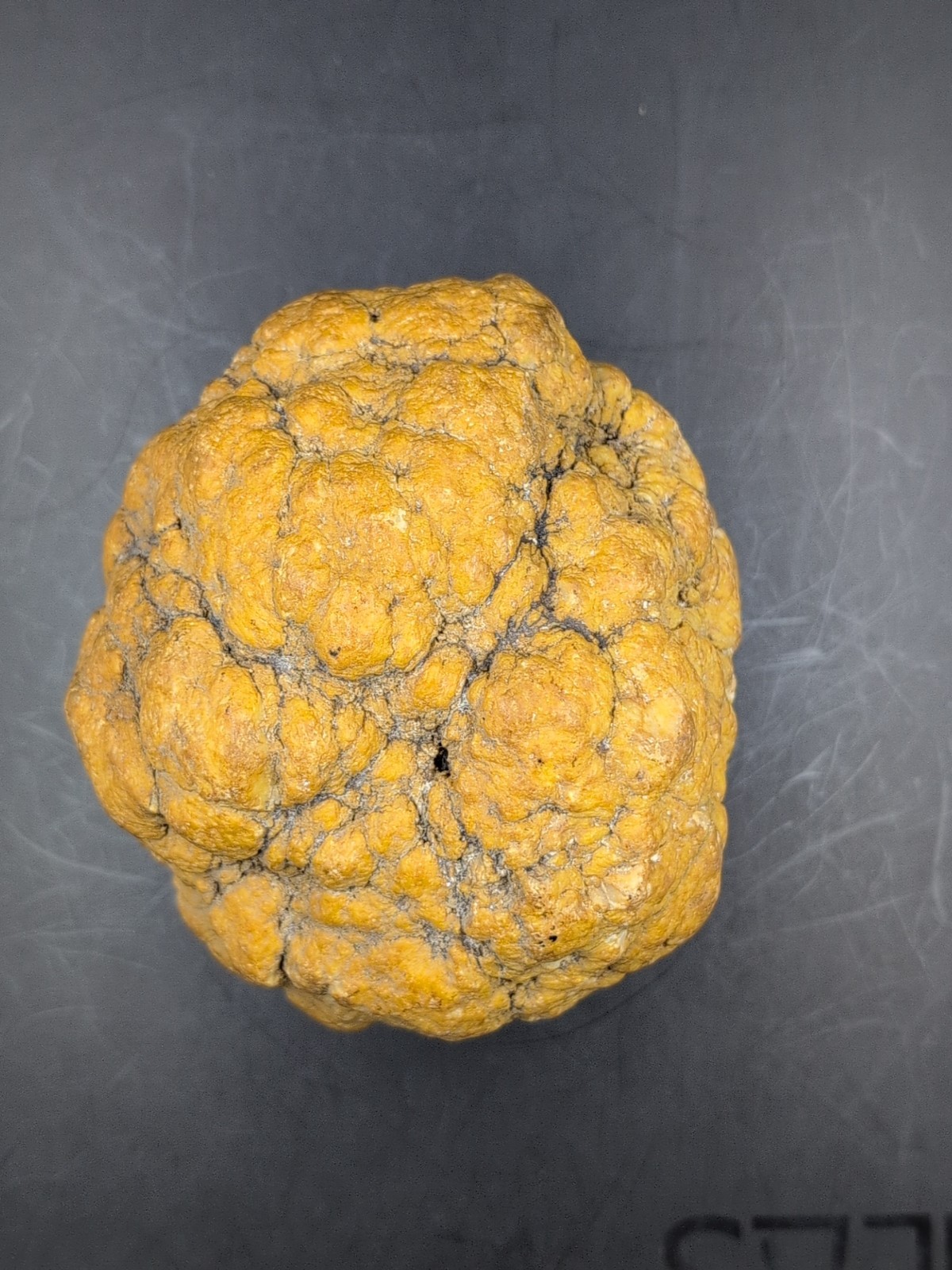 Large Quartz Nodule Concretion 5 lb Botryoidal Milky Quartz Mineral Specimen