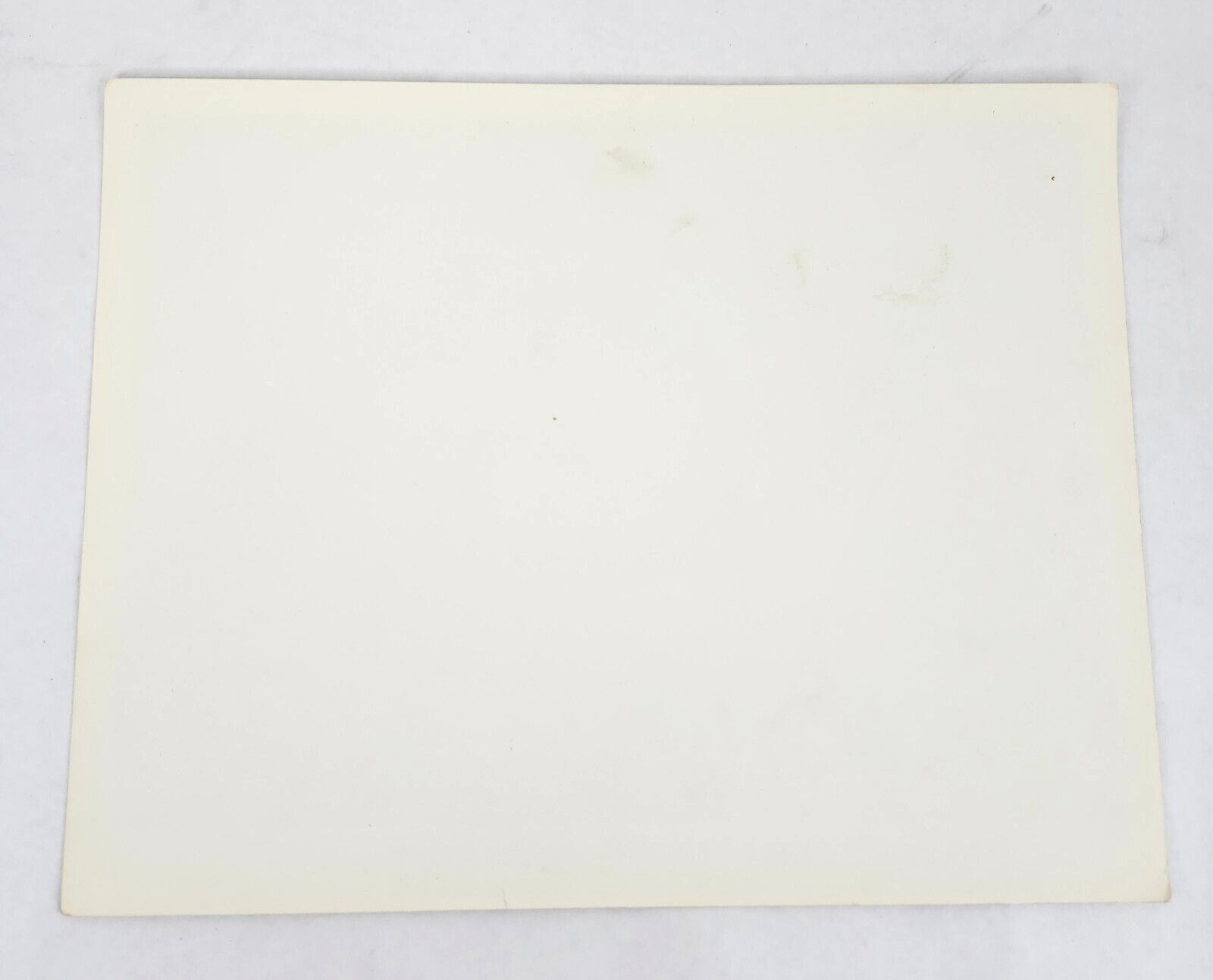 The Living Desert Walt Disney 1971 Lobby Card Movie Poster Winston Hibler 1953